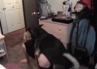 Gorgeous woman wants to fuck her dog