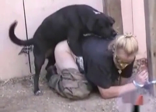 Sexy doggie is drilling the zoophile's asshole